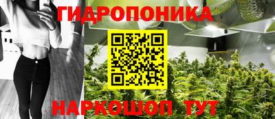 прущие грибы Бугуруслан