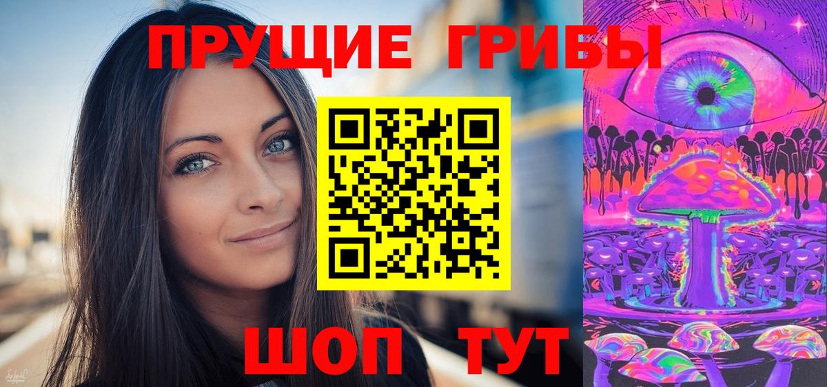 Псилоцибиновые грибы Cubensis Электрогорск