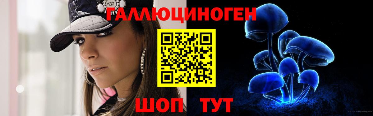Электрогорск  Псилоцибиновые грибы Psilocybine cubensis  Галлюциногенные грибы мухоморы  Вход с VPN 